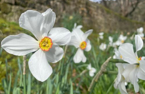 Crispins Corner - Foto 35