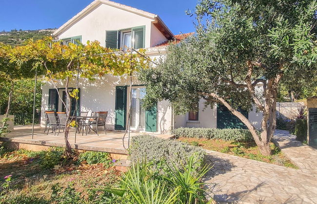 Villa Klara - Photo 45