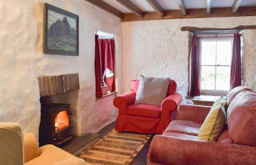 Old Dinas Arms - Foto 14