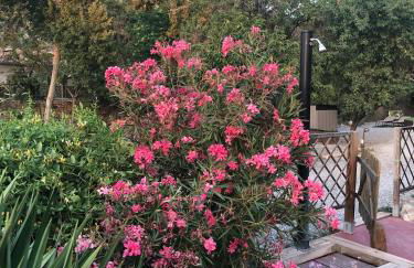 Molino Felix Alojamiento Rurales - Foto 37