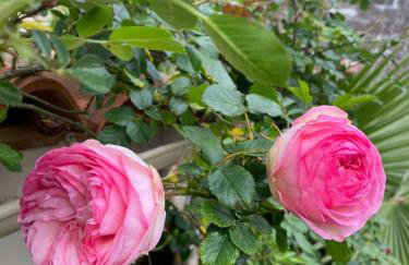 Appartement avec jardin - Foto 4