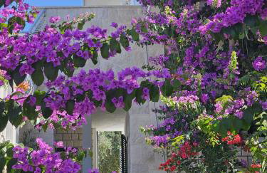 Apartments Nada - Foto 11