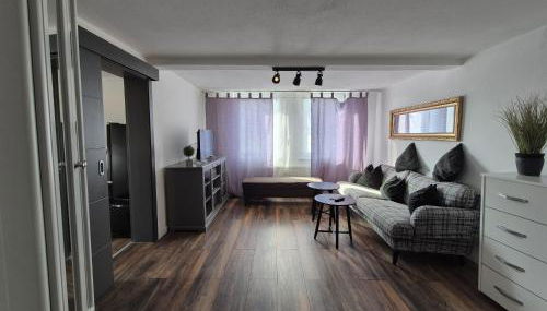 Mikra Homes24 in Crimmitschau - Foto 3