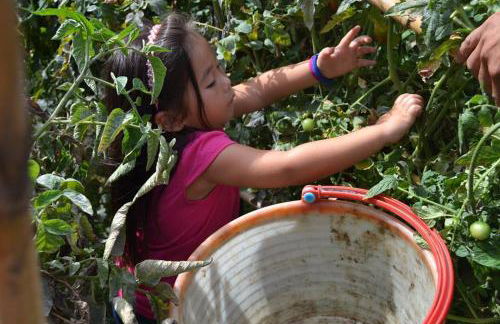 Agriturismo San Cataldo Farm Home - Foto 116