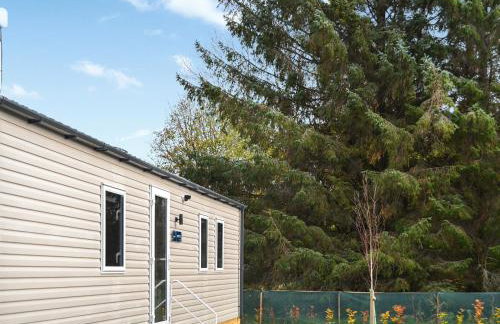 The Falcon - Uk45538 - Foto 14