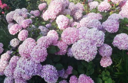 Apartment Fabris - Foto 25