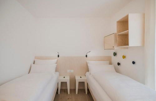 stella alpina - Foto 12