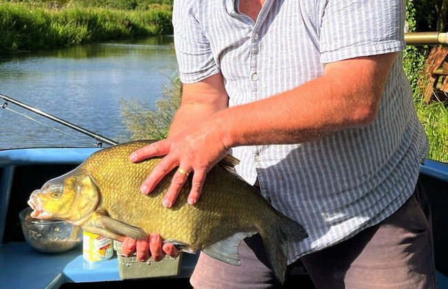 Owl Lodge With Hot Tub and Massage Treatments - Photo 11