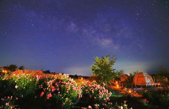 kujuhanakoen campingresort hanatohoshi - Foto 12