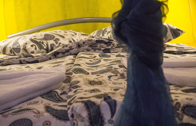 Victorious VIScovery Green - Foto 3