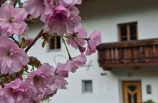 Seeberhof - Urlaub am Bauernhof - Foto 48