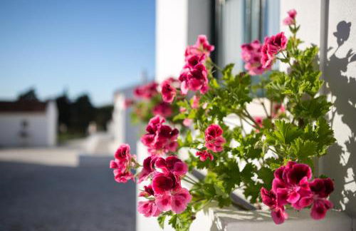 Casas de São José - Foto 37