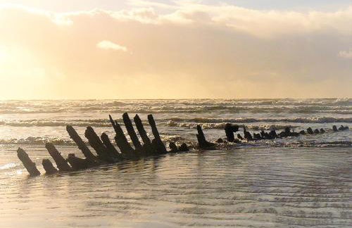 1 Bed in Kidwelly 43406 - Photo 18