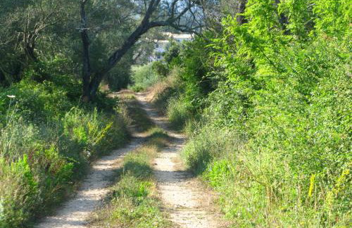 Aroggia Farm - Foto 19