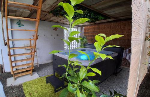 Gîte, jacuzzi & vin au grenier de Madiran - Photo 12