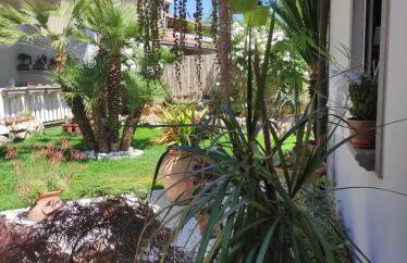 Cactus house - Foto 9