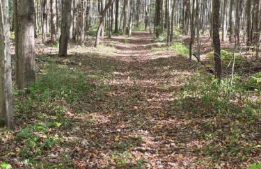 New Home with Game Room and Nature Trails in Port Huron - Photo 7