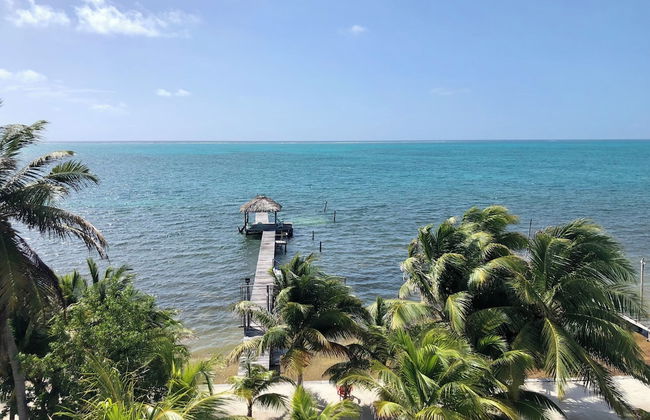 Ashton Court Belize - Foto 50