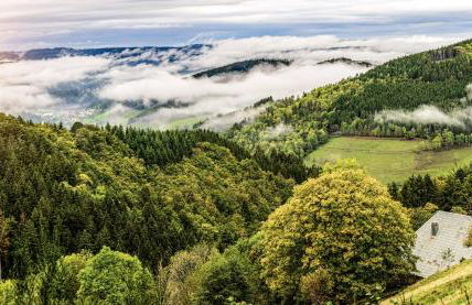 Fewo Blumenweg - Foto 30