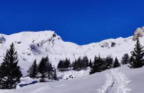 NEW ENTRY - Nuova villa nel verde - Foto 26