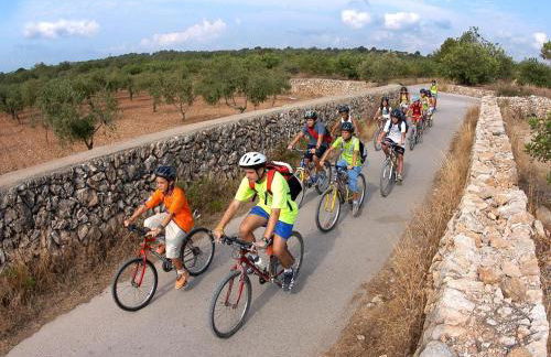 Bertur Via Augusta - Foto 38