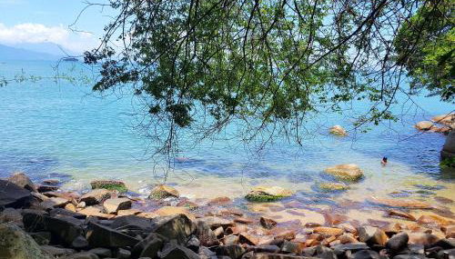 Casa de Família (Campo) - Foto 2