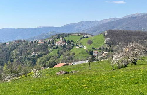 Villa Ponzio - Photo 39