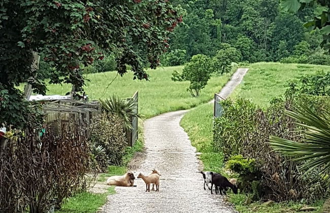 Agriturismo Cisogna - Foto 28