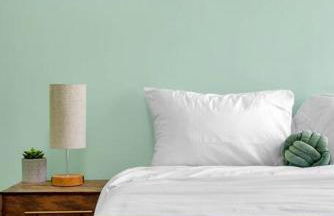 Green N' Groovy in the Heart of East Rock Near DT, Yale - Foto 24