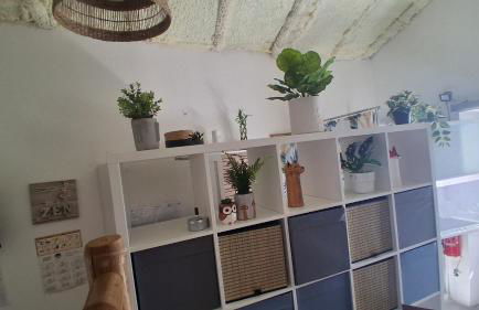 Casinha do repouso - Foto 7