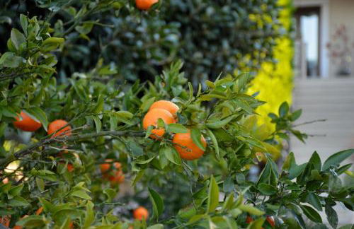 Krissa Villa - Foto 49