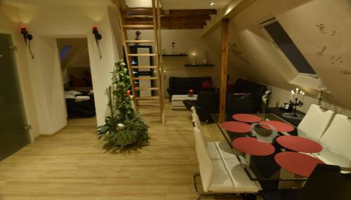 CATS Dreams - Photo 2