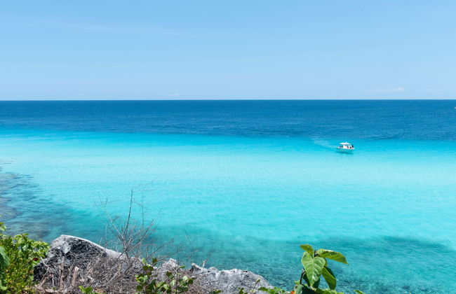 Excursión privada a Isla Mujeres en barco - Foto 4