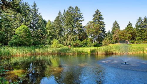 The Classy Cabin - Foto 2