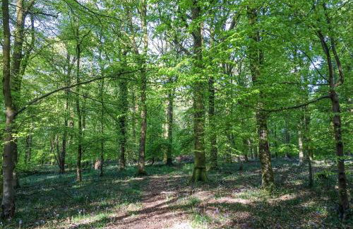 Appletree Barn - Foto 10