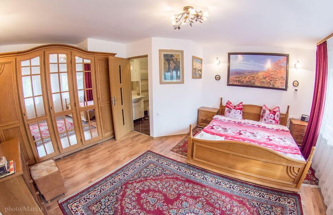 Vila Flora Viseu de Jos - Foto 9