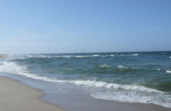 House Flora, Golden Knoepke - Foto 15