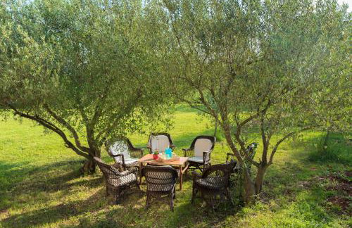 Sunset holiday home with pool and large, mature garden - Foto 28