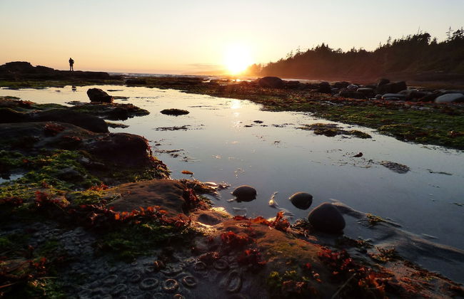 Eagle Reach - A West Coast Cottage - Foto 21