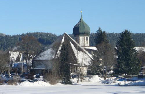 4-Sterne Ferienhaus Rösslewiese Hinterzarten - Foto 29