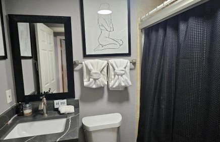 Super Cozy 2 bedroom with Fast WIFI and Queen Bed close to Downtown Houston!! - Foto 2