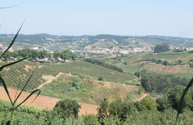 Cozy Villa near Óbidos with Private Swimming Pool - Foto 36