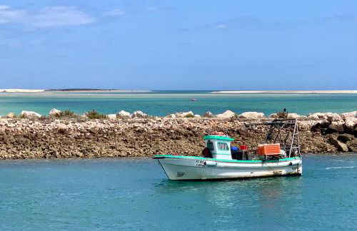 CASA DO PROFESSOR - Foto 29