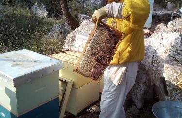 Stone House Sea View Vista Natura Private Garden Quiet Location - Photo 40