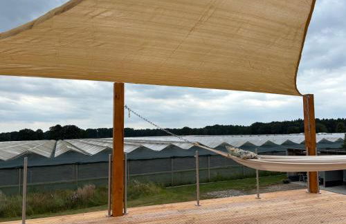 Terrassen Paradies Lüneburger Heide - Foto 42