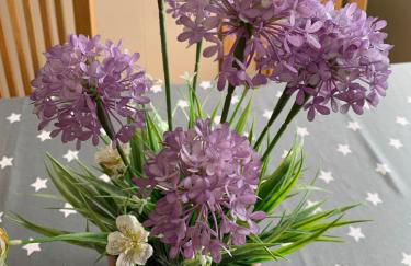 New Forest Chalet - Foto 10