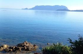 Wanna's Apartment Olbia - Foto 12