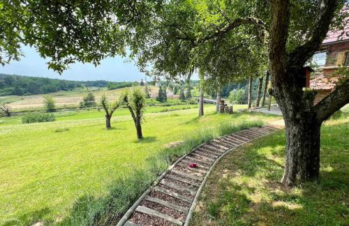 Mini Ranch Protulipa - Foto 17