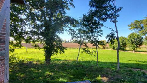 Altes Backhaus Bauernhof Vogel - Foto 3