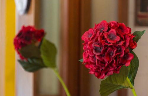 Flat Imperador - Foto 5